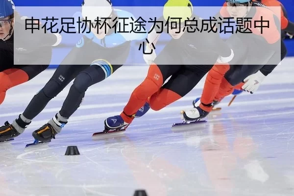 申花足协杯征途为何总成话题中心